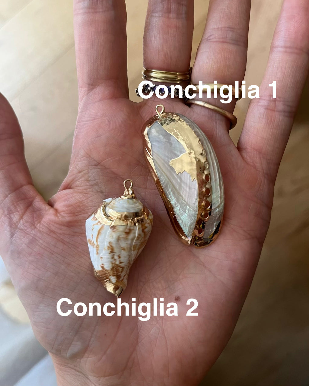 Collana Nassa