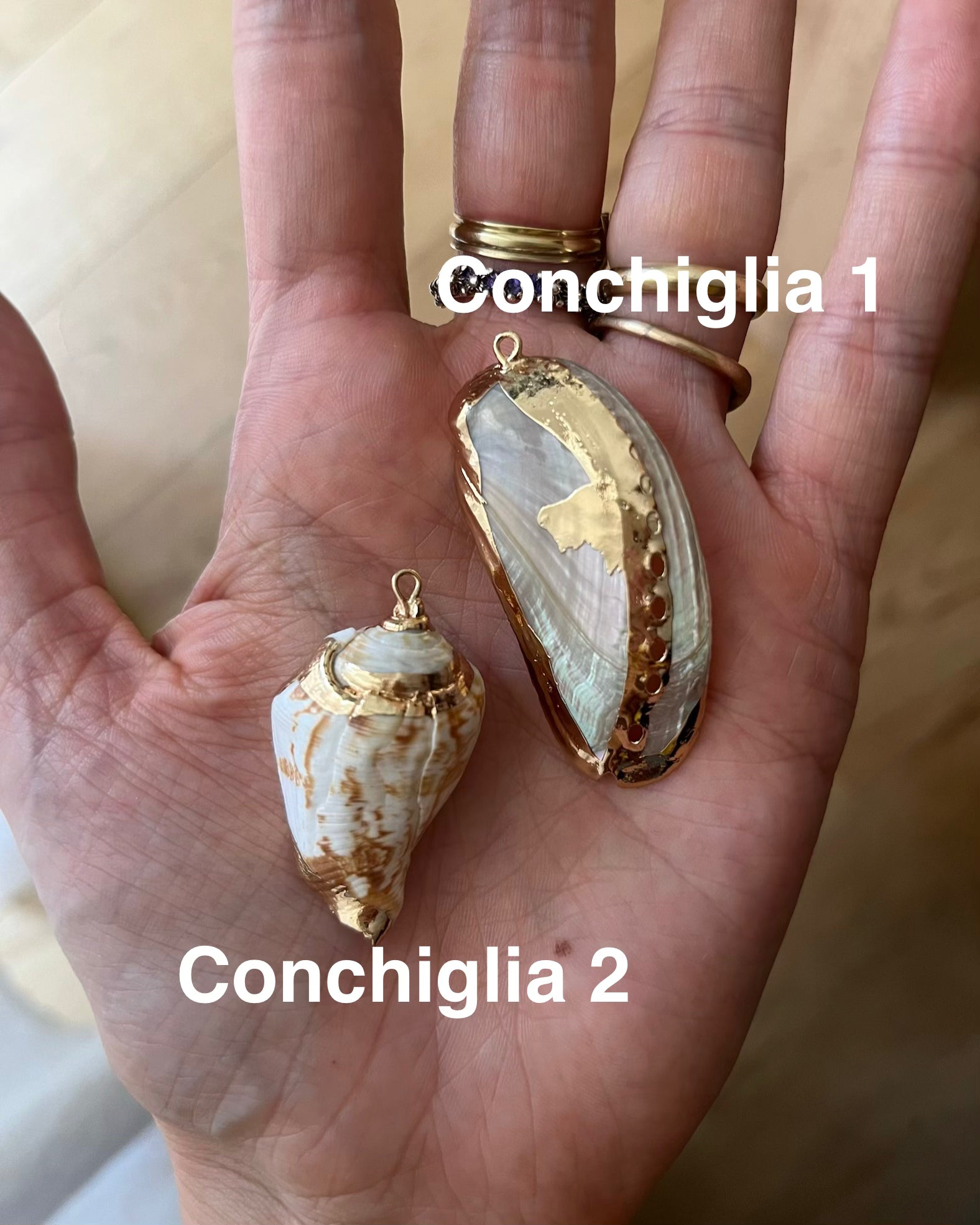 Collana Nassa